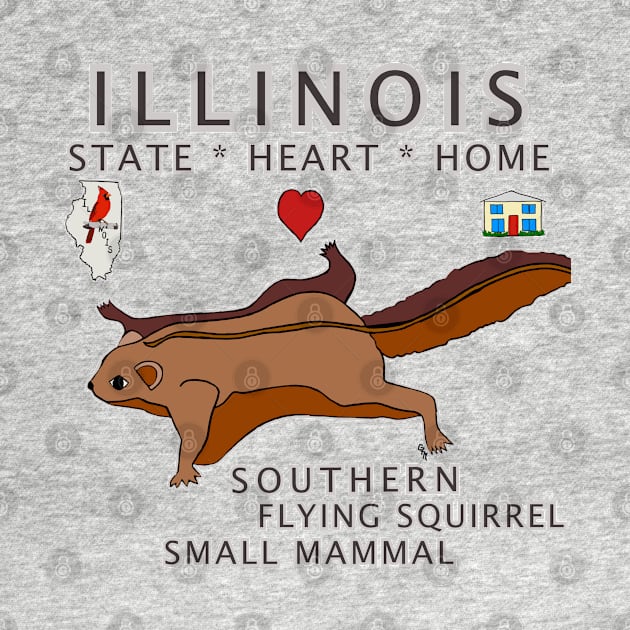 Illinois - Southern Flying Squirrel - State, Heart, Home - small mammal by cfmacomber